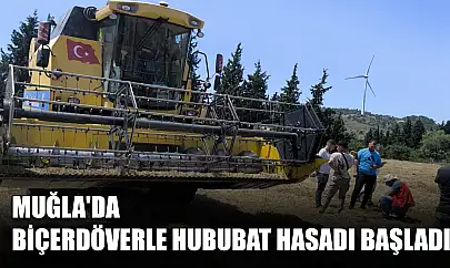Muğla'da Biçerdöverle Hububat Hasadı Başladı
