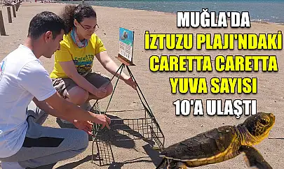 Muğla'da İztuzu Plajı'ndaki caretta caretta yuva sayısı 10'a ulaştı