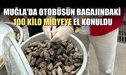 Muğla'da otobüsün bagajındaki 100 kilo midyeye el konuldu