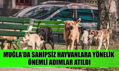 Muğla'da sahipsiz hayvanlara yönelik önemli adımlar atıldı