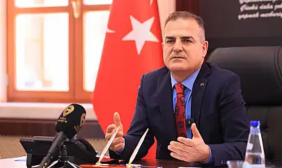 Muğla'da sokak hayvanları ve yaban domuzlarına karşı önlemler artırılacak