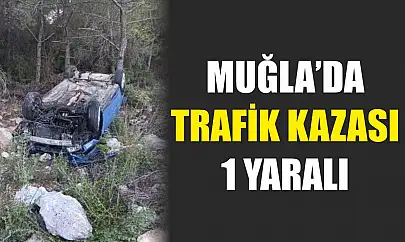 Muğla'da trafik kazası:1 yaralı