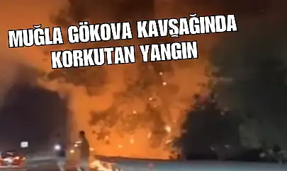 Muğla Gökova Kavşağında Korkutan Yangın