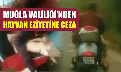 Muğla Valiliği'nden hayvan eziyetine ceza