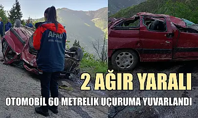 Otomobil 60 metrelik uçuruma yuvarlandı: 2 ağır yaralı