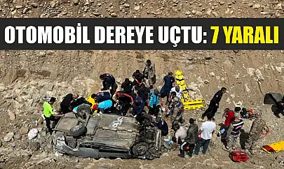 Otomobil dereye uçtu: 7 yaralı