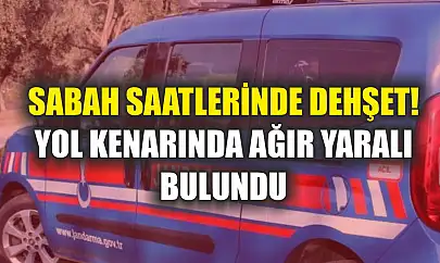 Sabah saatlerinde dehşet! Yol kenarında ağır yaralı bulundu