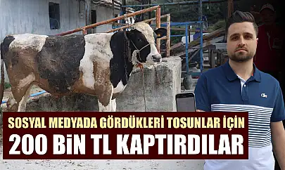 Sosyal medyada gördükleri tosunlar için 200 bin TL kaptırdılar