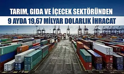 Tarım, gıda ve içecek sektöründen 9 ayda 19,67 milyar dolarlık ihracat