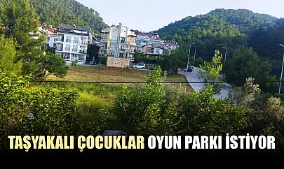 Taşyakalı çocuklar oyun parkı istiyor