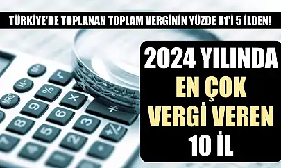 Türkiye'de toplanan toplam verginin yüzde 81'i 5 ilden! 2024 yılında en çok vergi veren 10 il
