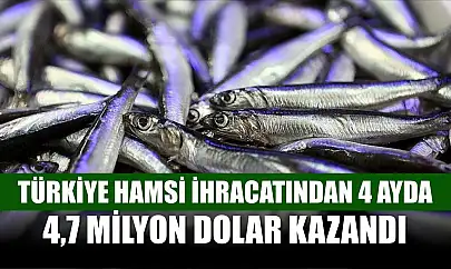 Türkiye hamsi ihracatından 4 ayda 4,7 milyon dolar kazandı