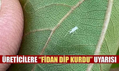 Üreticilere 'Fidan dip kurdu' uyarısı