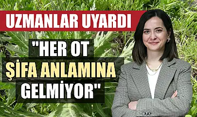 Uzmanlar uyardı: 'Her ot şifa anlamına gelmiyor'