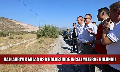 Vali Akbıyık Milas OSB bölgesinde incelemelerde bulundu
