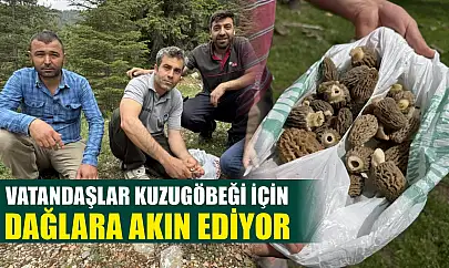 Vatandaşlar Kuzugöbeği için dağlara akın ediyor