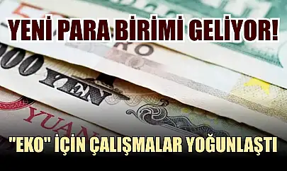 Yeni para birimi geliyor! 'Eko' için çalışmalar yoğunlaştı