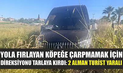 Yola fırlayan köpeğe çarpmamak için direksiyonu tarlaya kırdı: 2 Alman turist yaralı