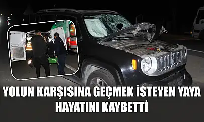 Yolun karşısına geçmek isteyen yaya hayatını kaybetti
