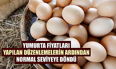 Yumurta fiyatları yapılan düzenlemelerin ardından normal seviyeye döndü