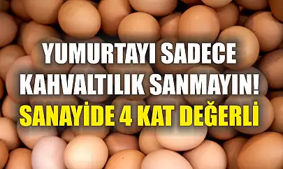 Yumurtayı sadece kahvaltılık sanmayın! Sanayide 4 kat değerli