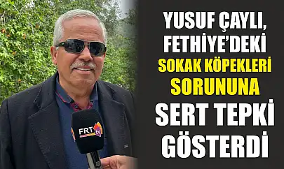 Yusuf Çaylı, Fethiye'deki sokak köpekleri sorununa sert tepki gösterdi