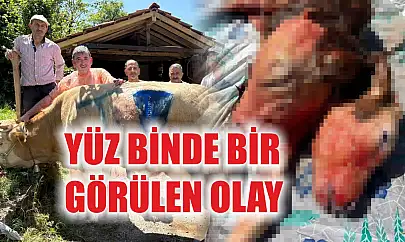 Yüz binde bir görülen olay