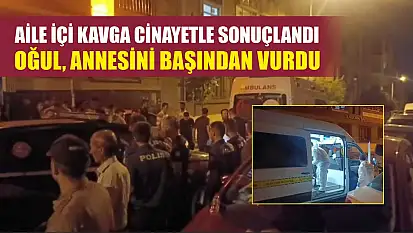Aile içi kavga cinayetle sonuçlandı: Oğul, annesini başından vurdu