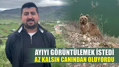 Ayıyı görüntülemek istedi, az kalsın canından oluyordu