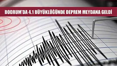 Bodrum'da 4.1 büyüklüğünde deprem meydana geldi
