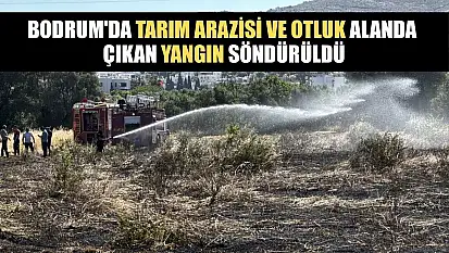 Bodrum'da tarım arazisi ve otluk alanda çıkan yangın söndürüldü