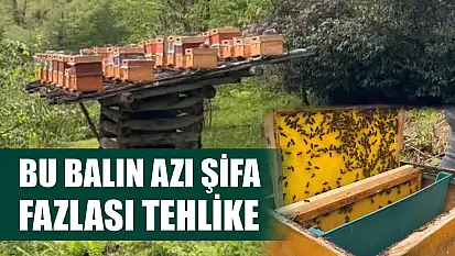 Bu balın azı şifa, fazlası tehlike