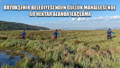 Büyükşehir Belediyesi'nden Güllük Mahallesi'nde 60 Hektar Alanda İlaçlama