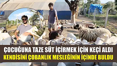 Çocuğuna taze süt içirmek için keçi aldı, kendisini çobanlık mesleğinin içinde buldu