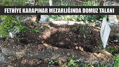 Fethiye Karapınar mezarlığında domuz talanı