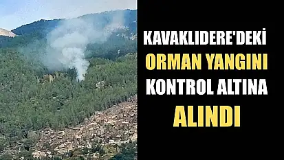 Kavaklıdere'deki orman yangını kontrol altına alındı