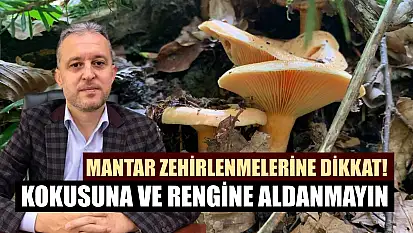 Mantar zehirlenmelerine dikkat! Kokusuna ve rengine aldanmayın