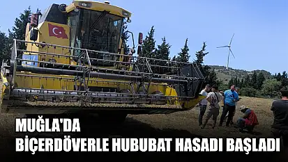 Muğla'da Biçerdöverle Hububat Hasadı Başladı