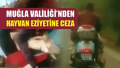 Muğla Valiliği'nden hayvan eziyetine ceza