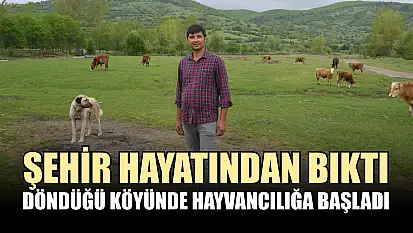 Şehir hayatından bıktı, döndüğü köyünde hayvancılığa başladı