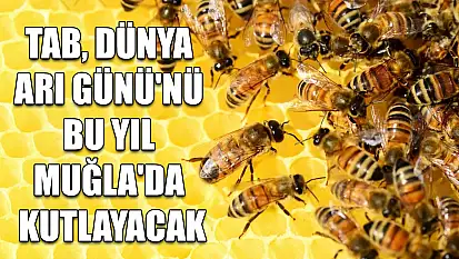 TAB, Dünya Arı Günü'nü bu yıl Muğla'da kutlayacak