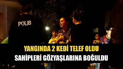 Yangında 2 kedi telef oldu, sahipleri gözyaşlarına boğuldu