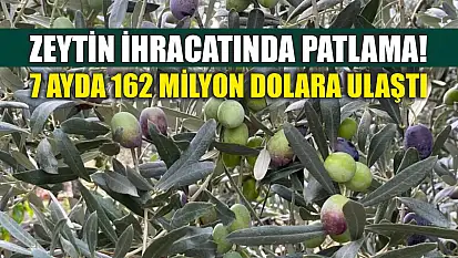 Zeytin ihracatında patlama! 7 ayda 162 milyon dolara ulaştı
