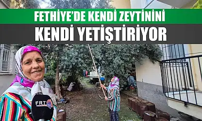 Fethiye'de kendi zeytinini kendi yetiştiriyor