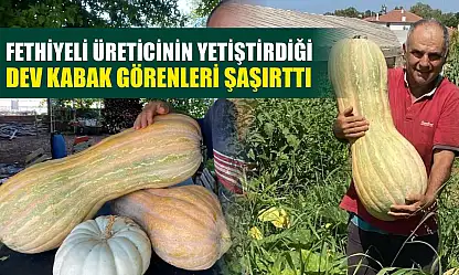 Fethiyeli Üreticinin Yetiştirdiği Dev Kabak Görenleri Şaşırttı