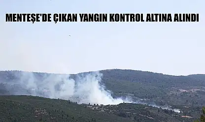Menteşe'de çıkan yangın kontrol altına alındı