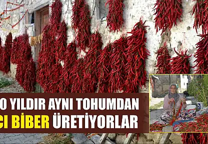 160 yıldır aynı tohumdan acı biber üretiyorlar