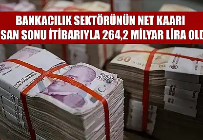 Bankacılık sektörünün net kaarı nisan sonu itibarıyla 264,2 milyar lira oldu