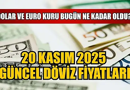 Dolar ve Euro kuru bugün ne kadar oldu?  20 Kasım 2025 güncel döviz fiyatları