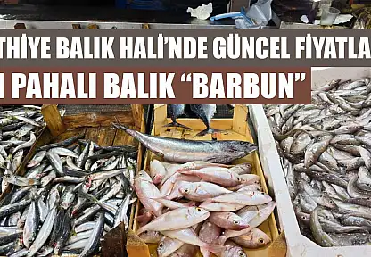 Fethiye Balık Hali'nde güncel fiyatlar: En pahalı balık 'Barbun'